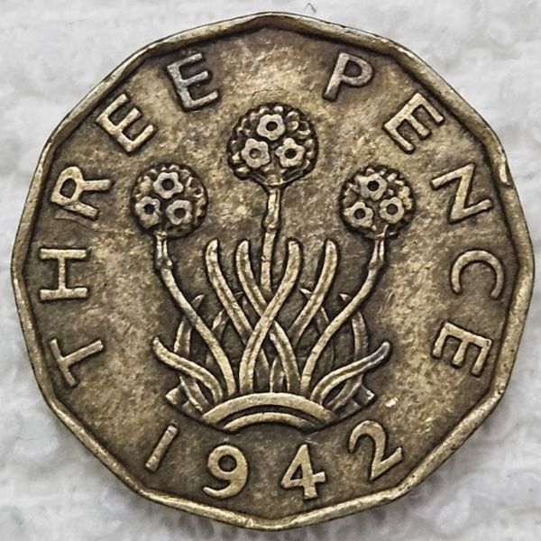 Show-Your-Coins-With-Different-Edges