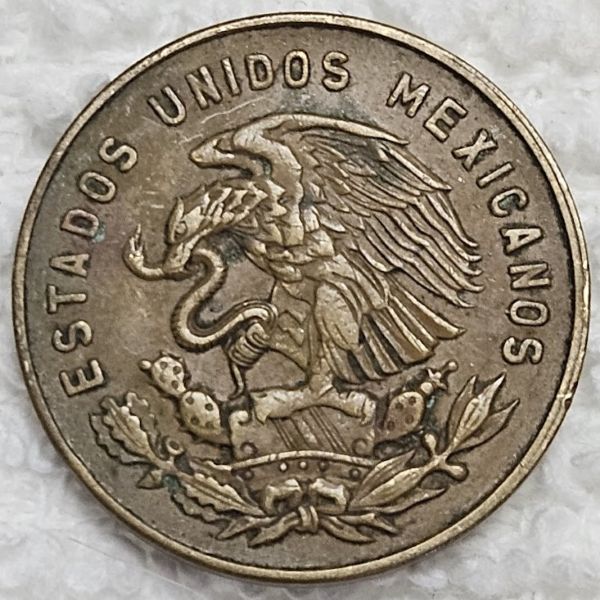 Post-Your-Coins-Representing-The-Animal-Kingdom.
