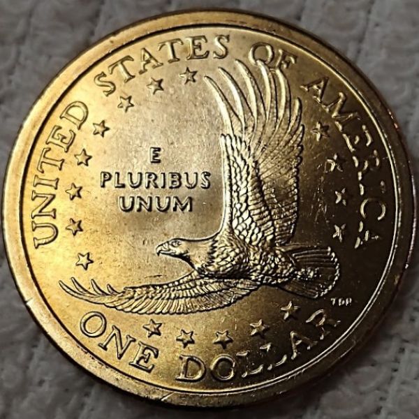 Dearborn's-Sacagawea-Native-American-Small-Golden-Dollar-Collection
