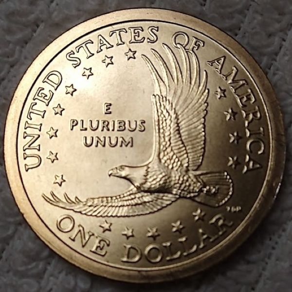 Dearborn's-Sacagawea-Native-American-Small-Golden-Dollar-Collection