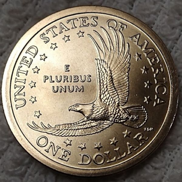 Dearborn's-Sacagawea-Native-American-Small-Golden-Dollar-Collection