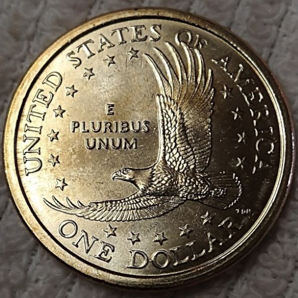 Dearborn's-Sacagawea-Native-American-Small-Golden-Dollar-Collection
