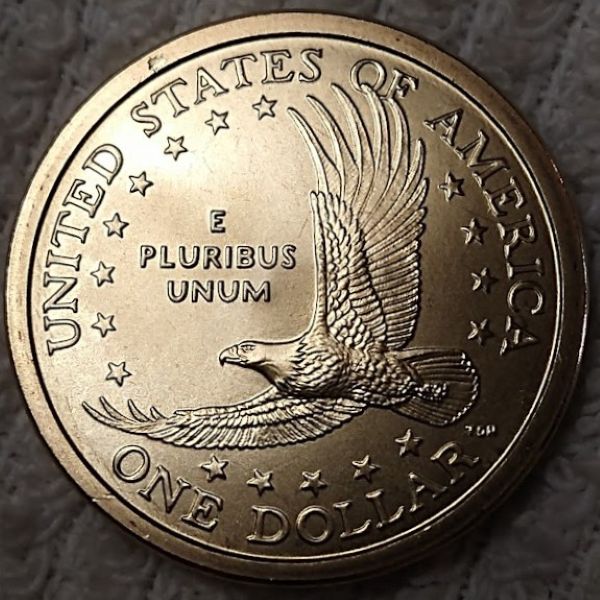 Dearborn's-Sacagawea-Native-American-Small-Golden-Dollar-Collection