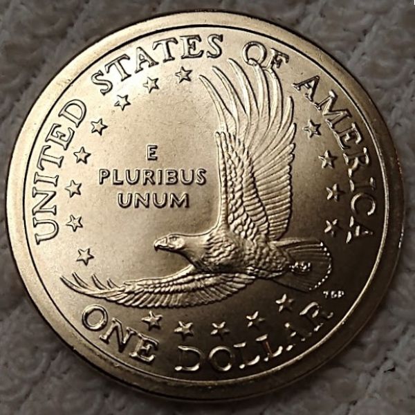 Dearborn's-Sacagawea-Native-American-Small-Golden-Dollar-Collection