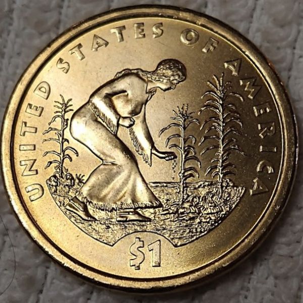 Dearborn's-Sacagawea-Native-American-Small-Golden-Dollar-Collection