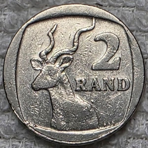 Bovine-Coins---Post-Yours