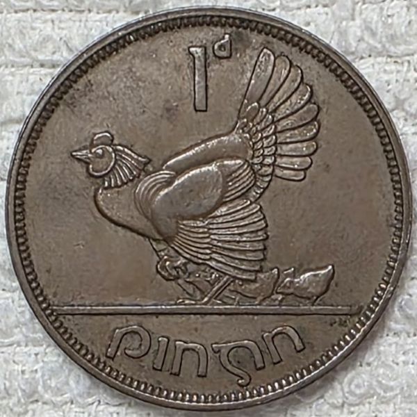 Post-Your-Coins-Representing-The-Animal-Kingdom.