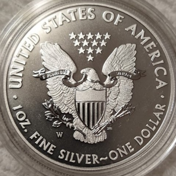 Pictures-Of-The-Enhanced-Uncirculated-ASE