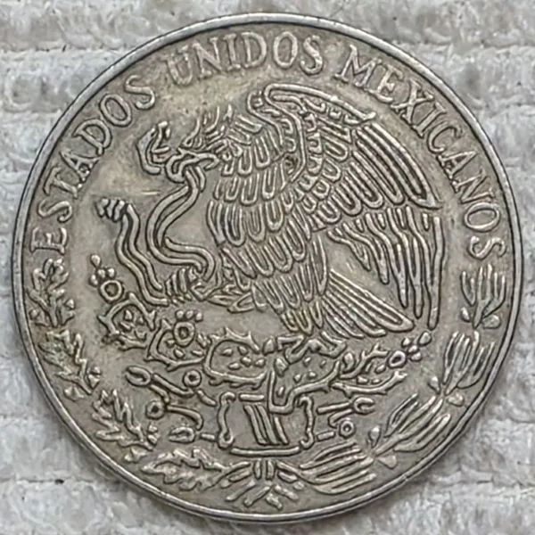 Post-Your-Coins-And-Medals-Featuring-A-Snake.