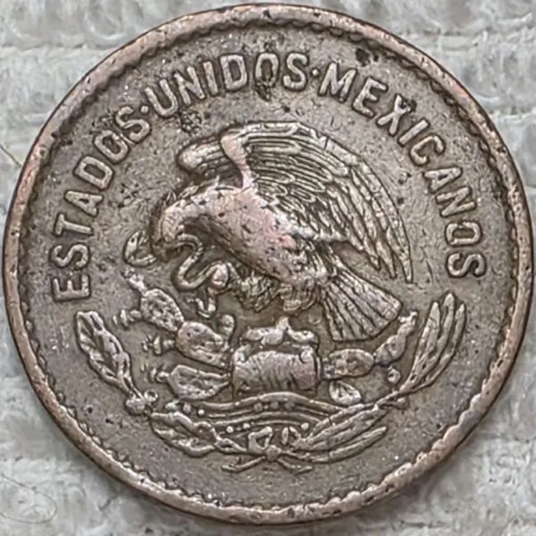 Post-Your-Coins-And-Medals-Featuring-A-Snake.