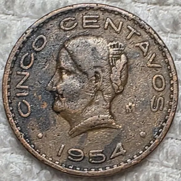 Post-Your-Coins-And-Medals-Featuring-A-Snake.