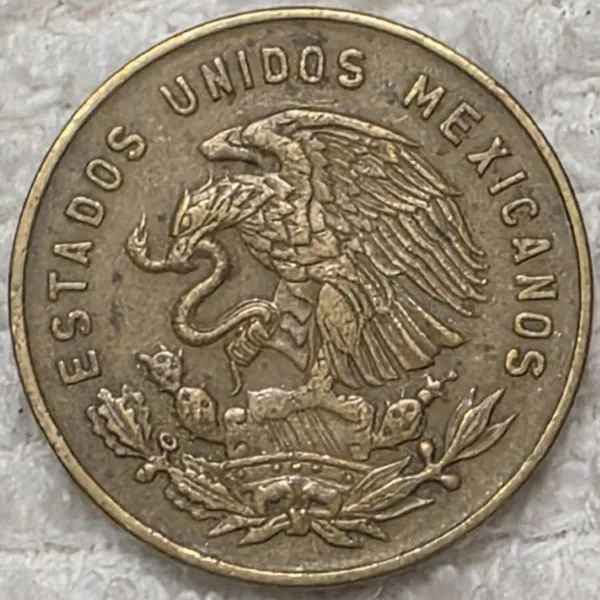 Post-Your-Coins-And-Medals-Featuring-A-Snake.