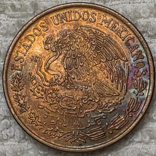 Post-Your-Coins-Representing-The-Animal-Kingdom.