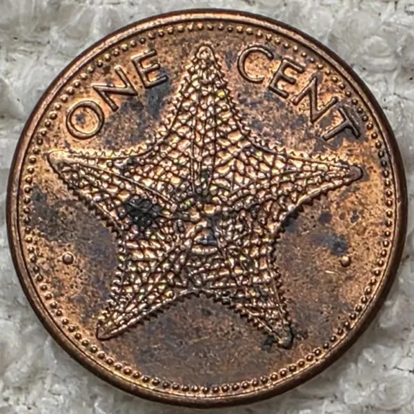 Continuing-List-To-Show-Everyones-Latest-Acquisitions