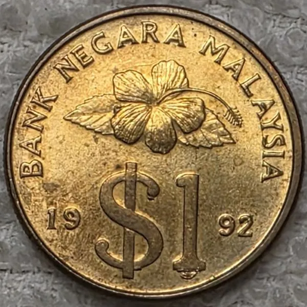Continuing-List-To-Show-Everyones-Latest-Acquisitions