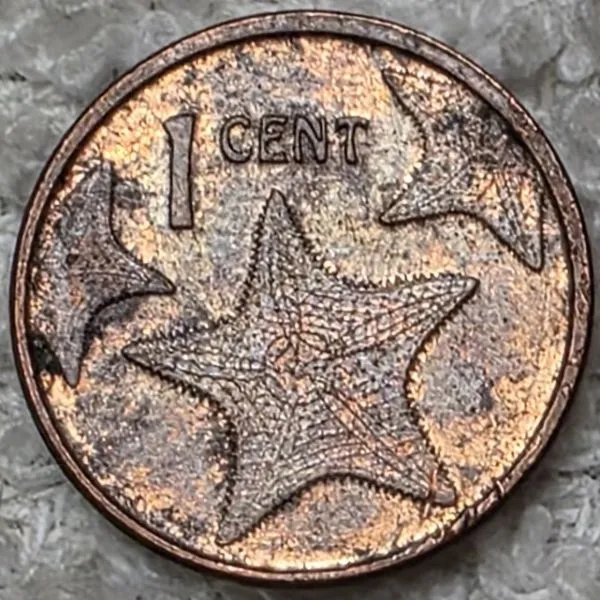 Post-Your-Coins-With-Hats