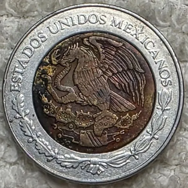 Post-Your-Bird-Coins