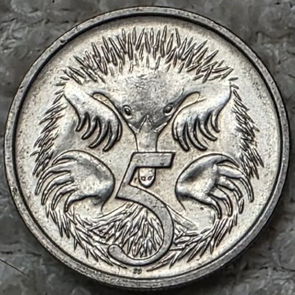 Continuing-List-To-Show-Everyones-Latest-Acquisitions