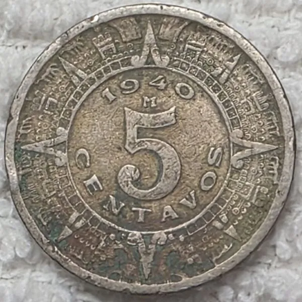 Post-Your-Coins-Representing-The-Animal-Kingdom.