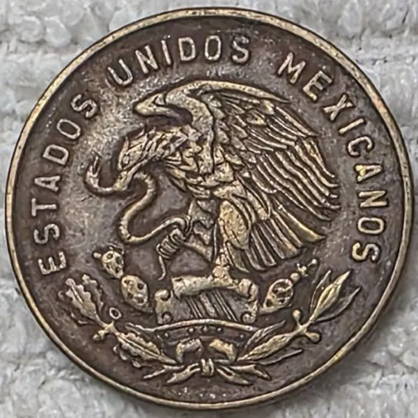 The-Circulation-Cameo---Post-Yours!