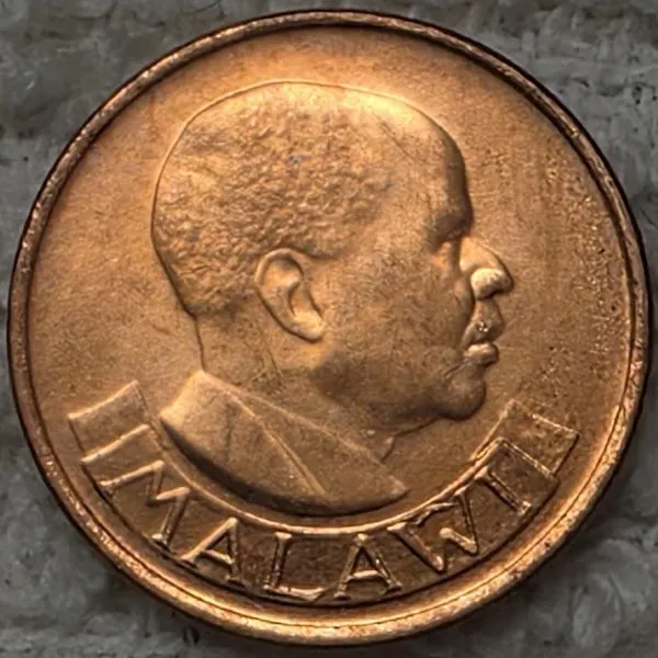 Post-Your-Coins-Representing-The-Animal-Kingdom.