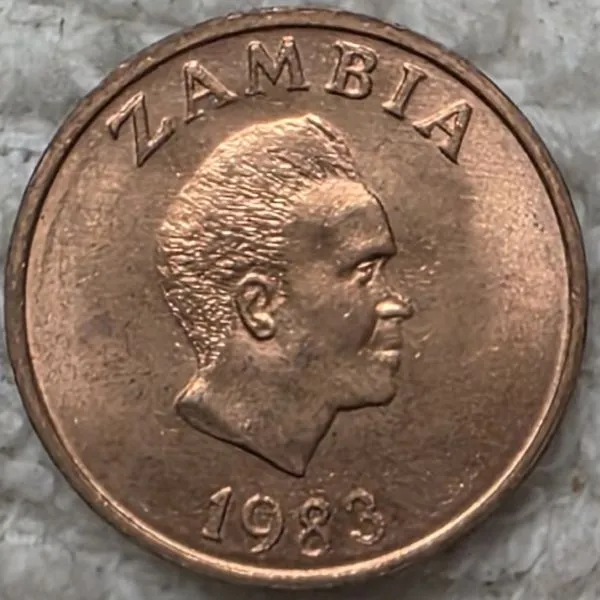 Post-Your-Coins-Representing-The-Animal-Kingdom.