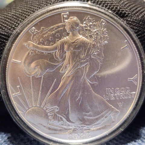 2023-ASE-Walking-Liberty-Errors