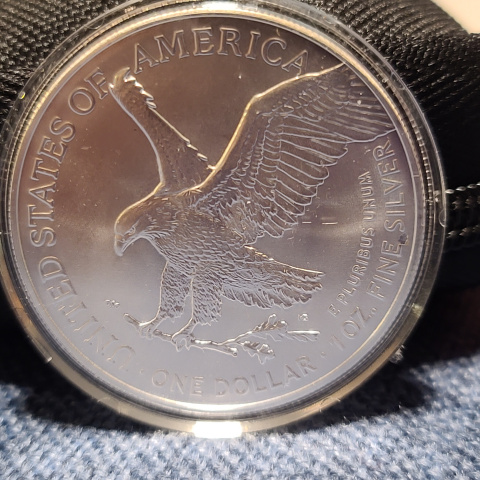2023-ASE-Walking-Liberty-Errors