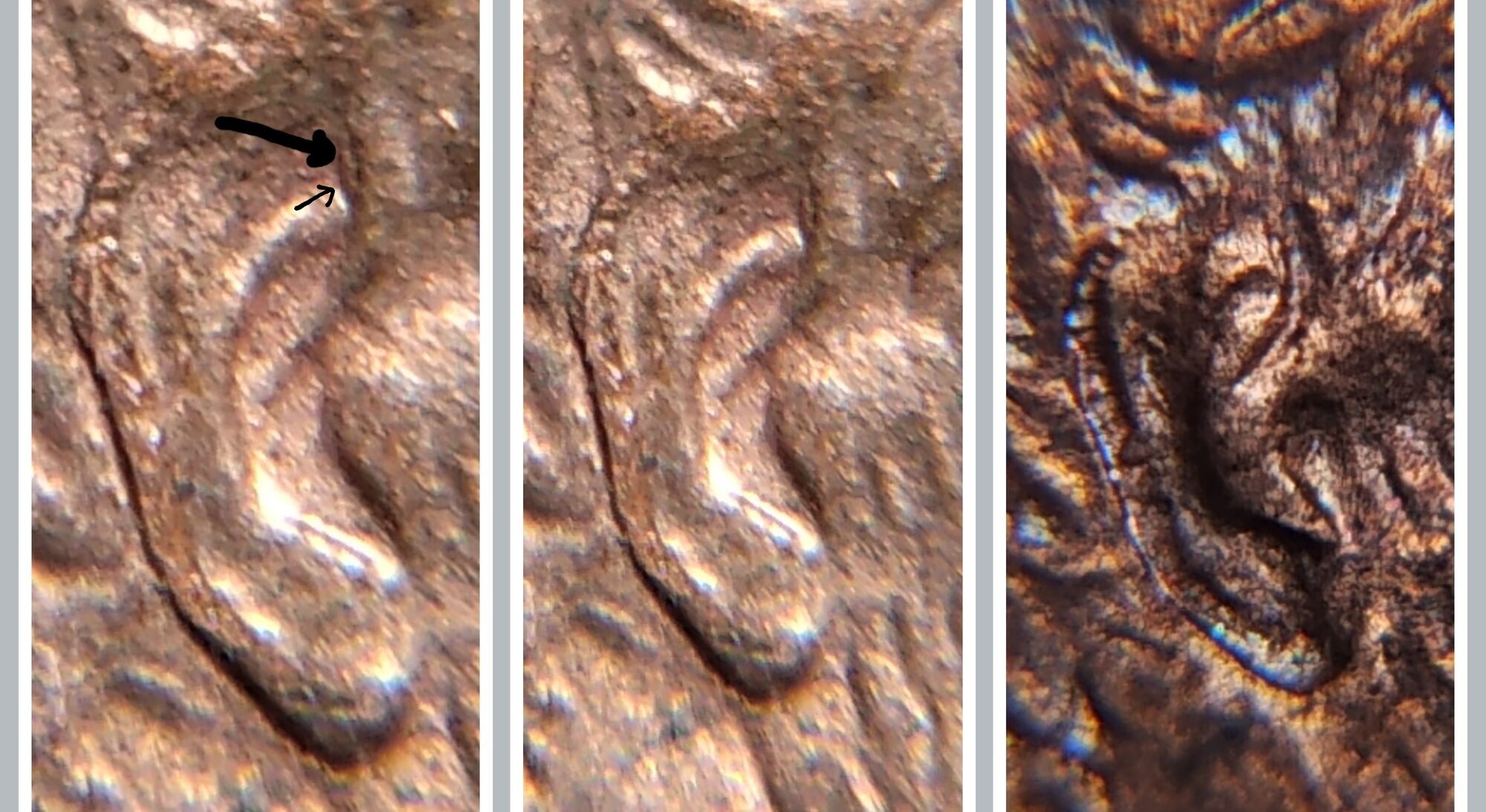 1996-P-1c-Ear-Question