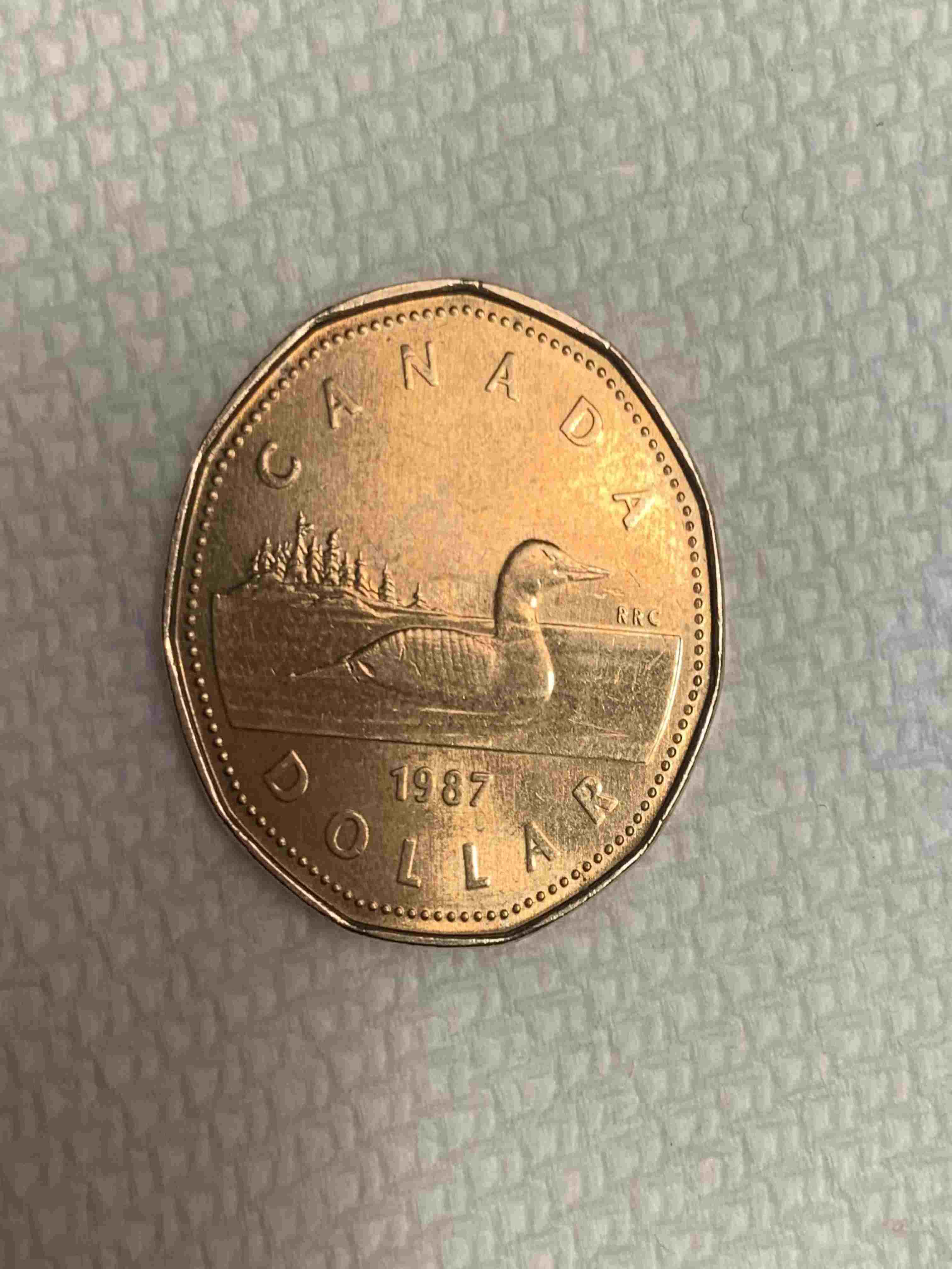 1987-Canadian-Loonie-With-Some-Sort-Of-Lacquer-Spill