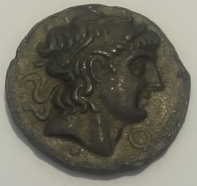 Demetrios-Poliorketes-Coin-Real-Or-Fake-?