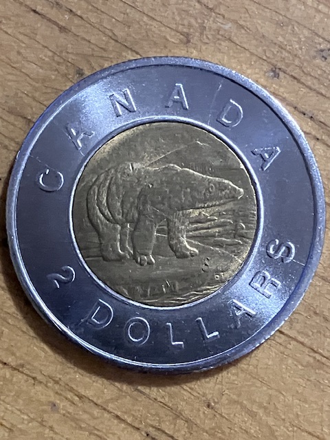 Counterfeit-Toonies-Are-Going-To-Be-A-Significant-Problem