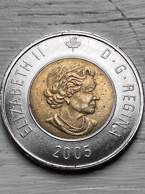 Counterfeit-Toonies-Are-Going-To-Be-A-Significant-Problem