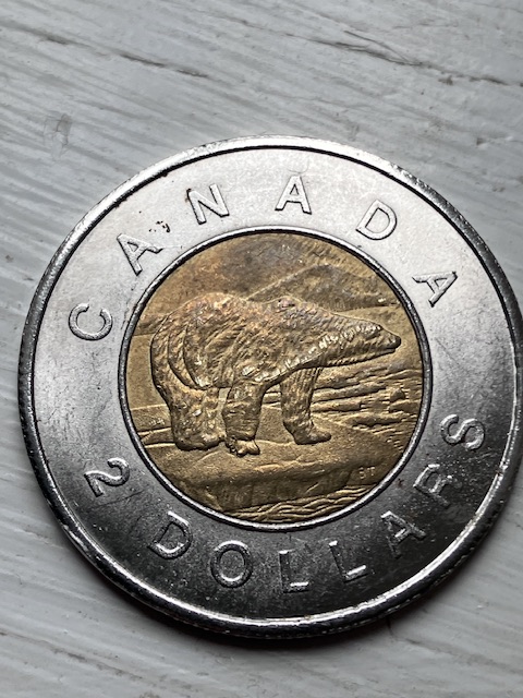 Counterfeit-Toonies-Are-Going-To-Be-A-Significant-Problem