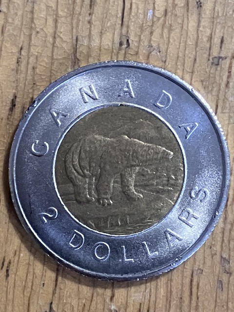 Counterfeit-Toonies-Are-Going-To-Be-A-Significant-Problem