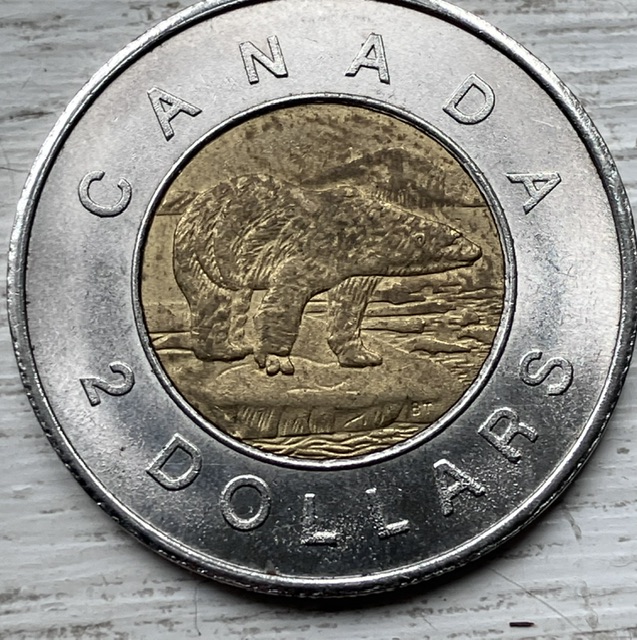 Counterfeit-Toonies-Are-Going-To-Be-A-Significant-Problem
