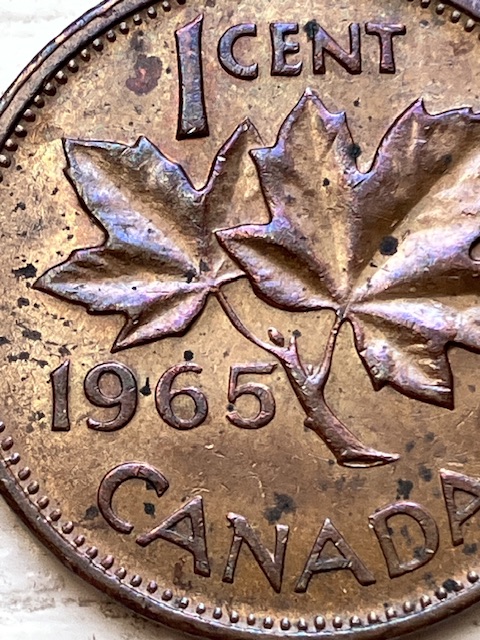 Post-Your-Canadian-Circulation-Finds!