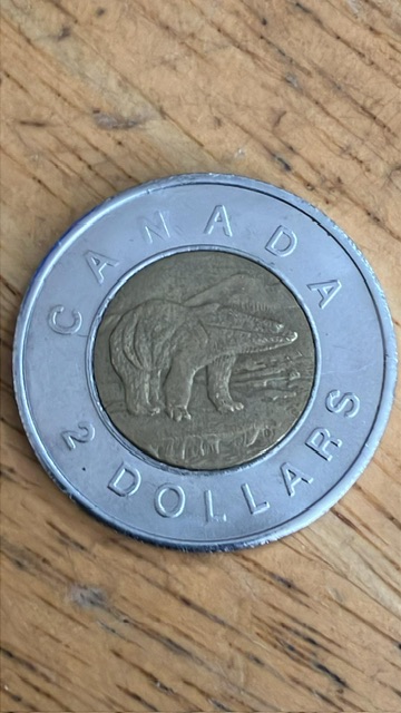 Counterfeit-Toonies-Are-Going-To-Be-A-Significant-Problem