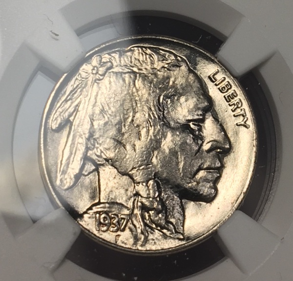 1937-Buffalo-#2---You-Vs-NGC