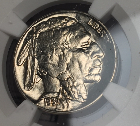 1937-Buffalo-#2---You-Vs-NGC