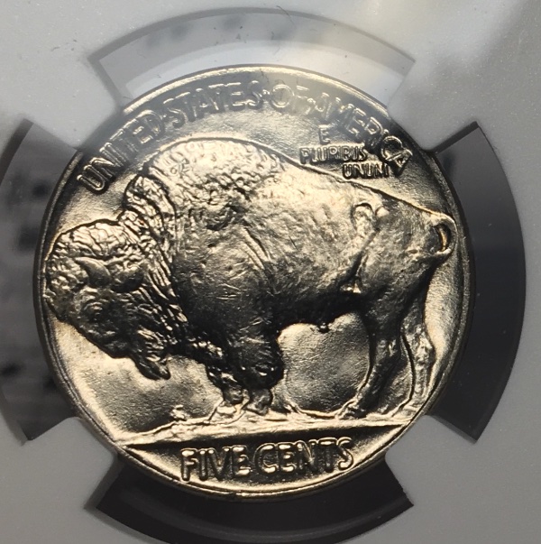1937-Buffalo-#2---You-Vs-NGC