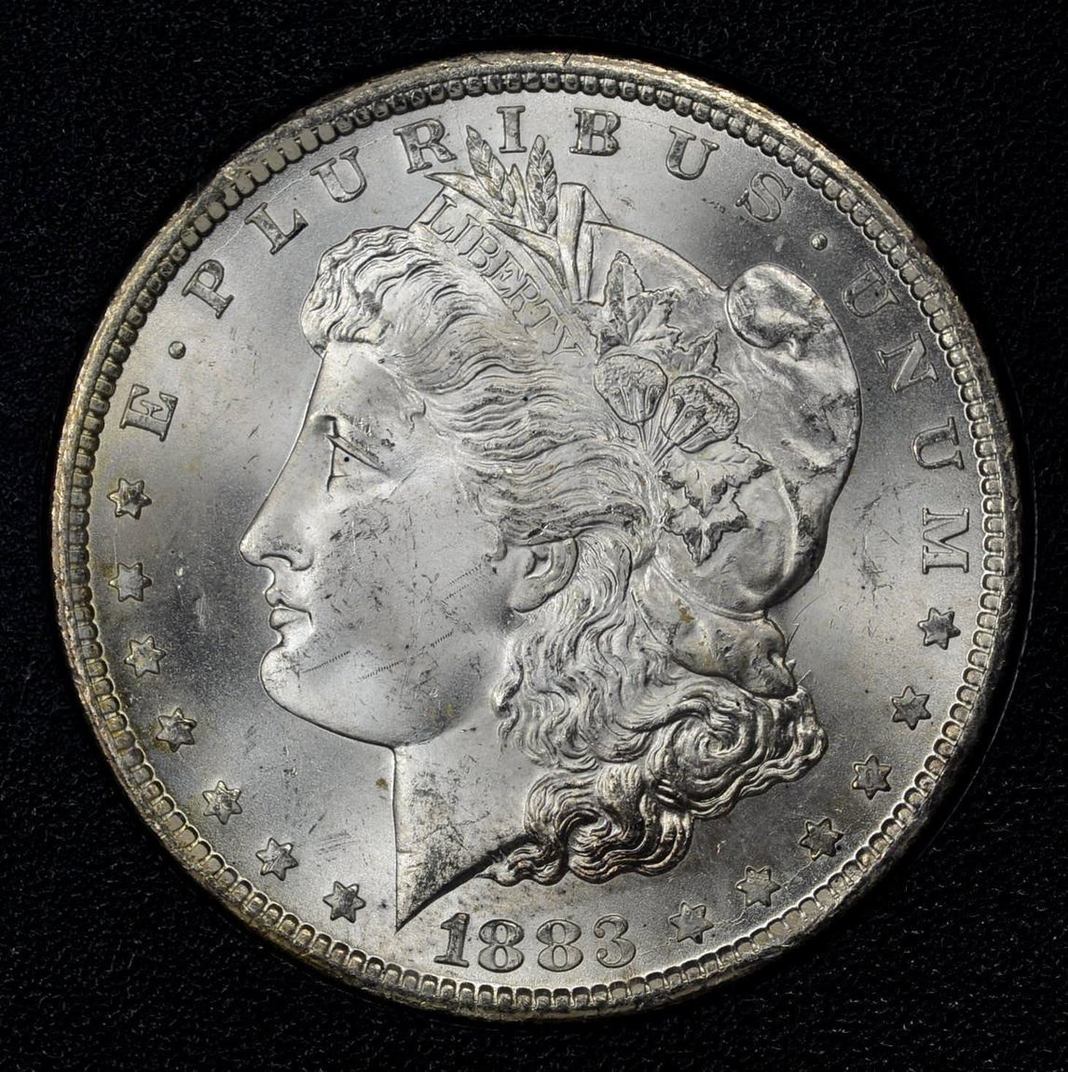 1883-CC-Morgan-Dollar-Thoughts