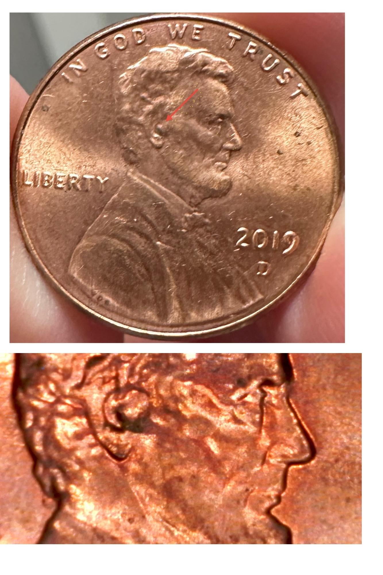2019-D-Lincoln-Ear-Glop