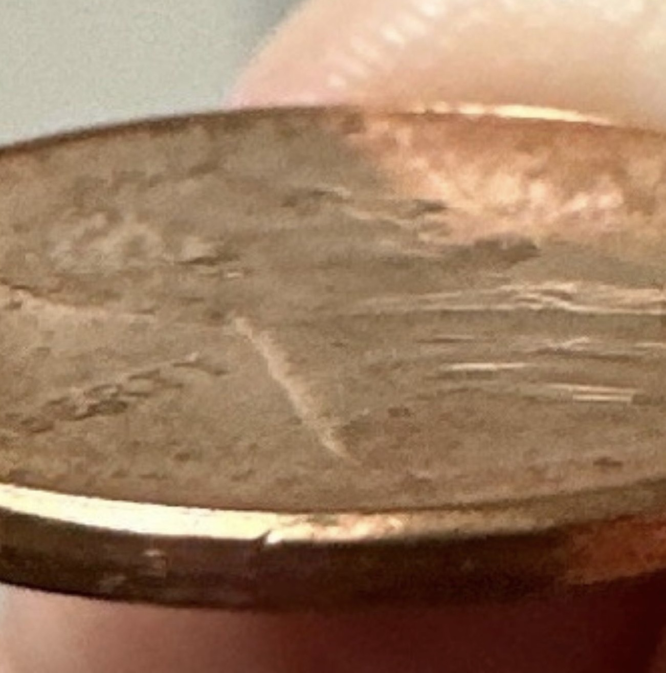 2019-D-Lincoln-Ear-Glop