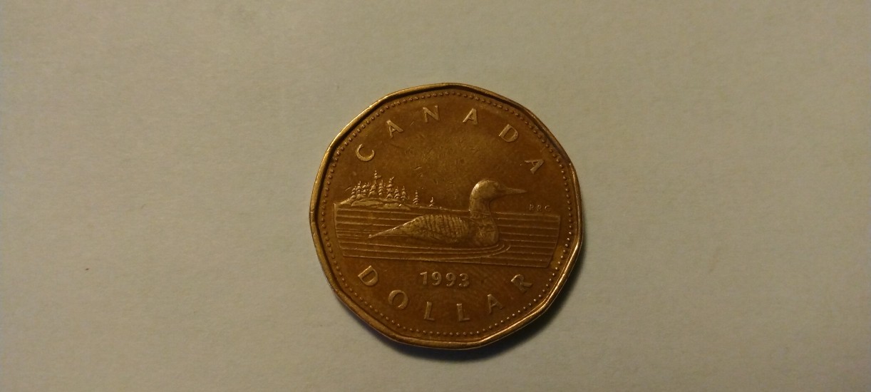 Canadian-1-Dollar-Coins