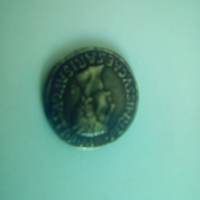 Help-In-Identify-This-Caesar-Coin