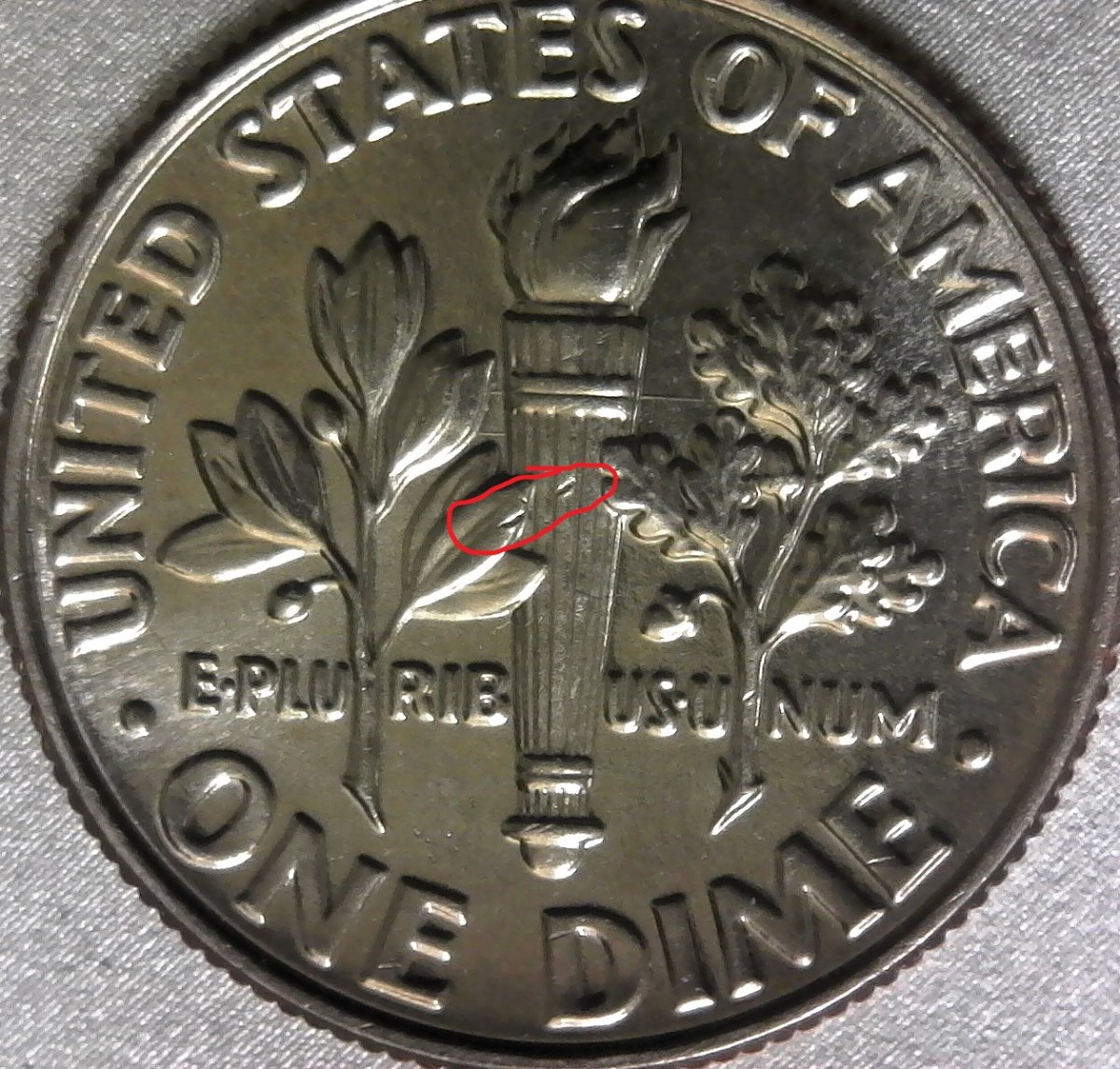 How-Can-I-Find-Out-If-A-Coin-Is-Worth-Grading?