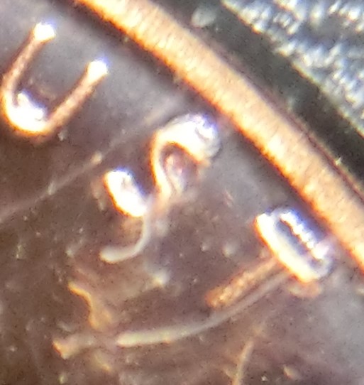 1983-S-Proof-Lincoln-Penny-That's-A-Bit-Different-From-Any-Others-I've-Seen