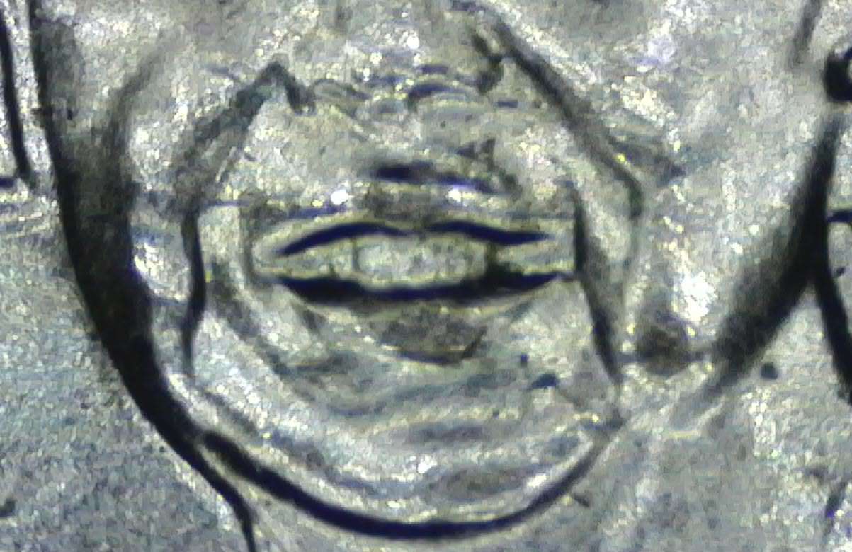 2023-Ellanor-Roosevelt-Quarter-ErrorS