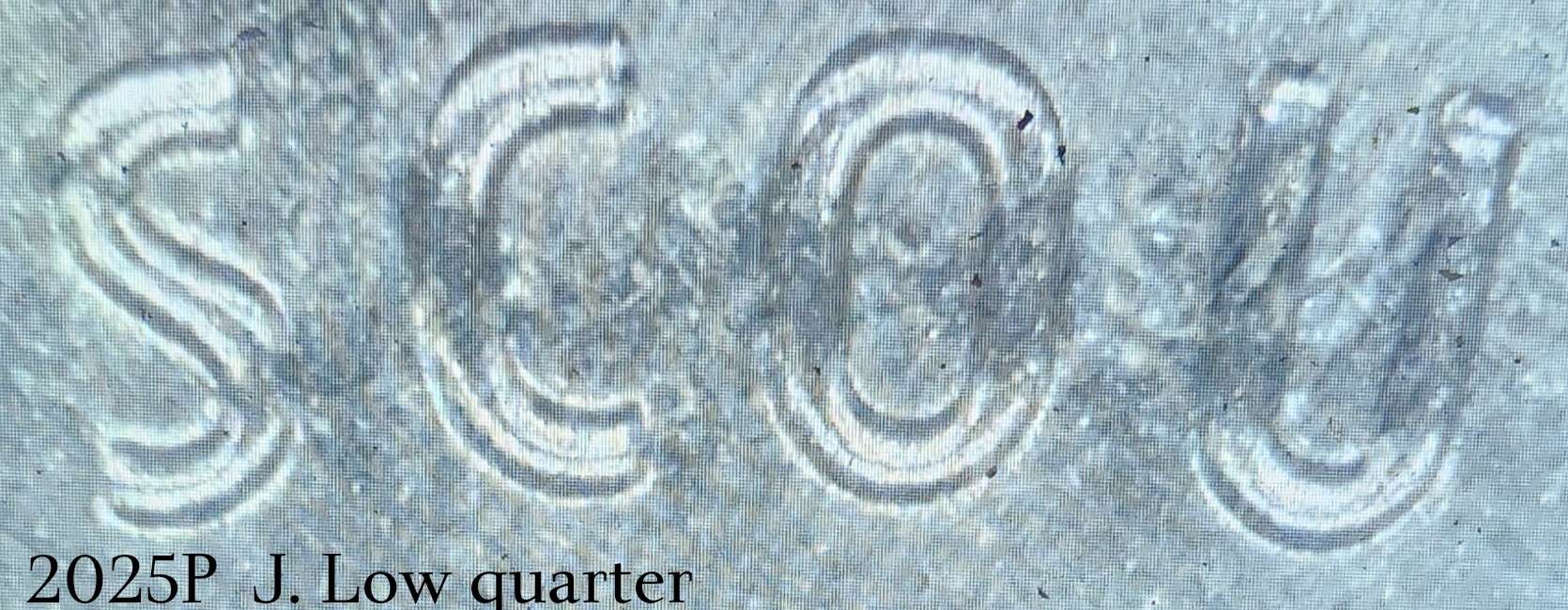 2025-P-Juliette-Low-Quarter-What-Is-This-Error?